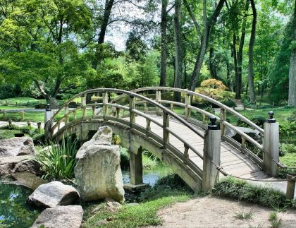 amenagement de jardin