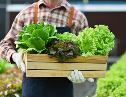 principes de la permaculture