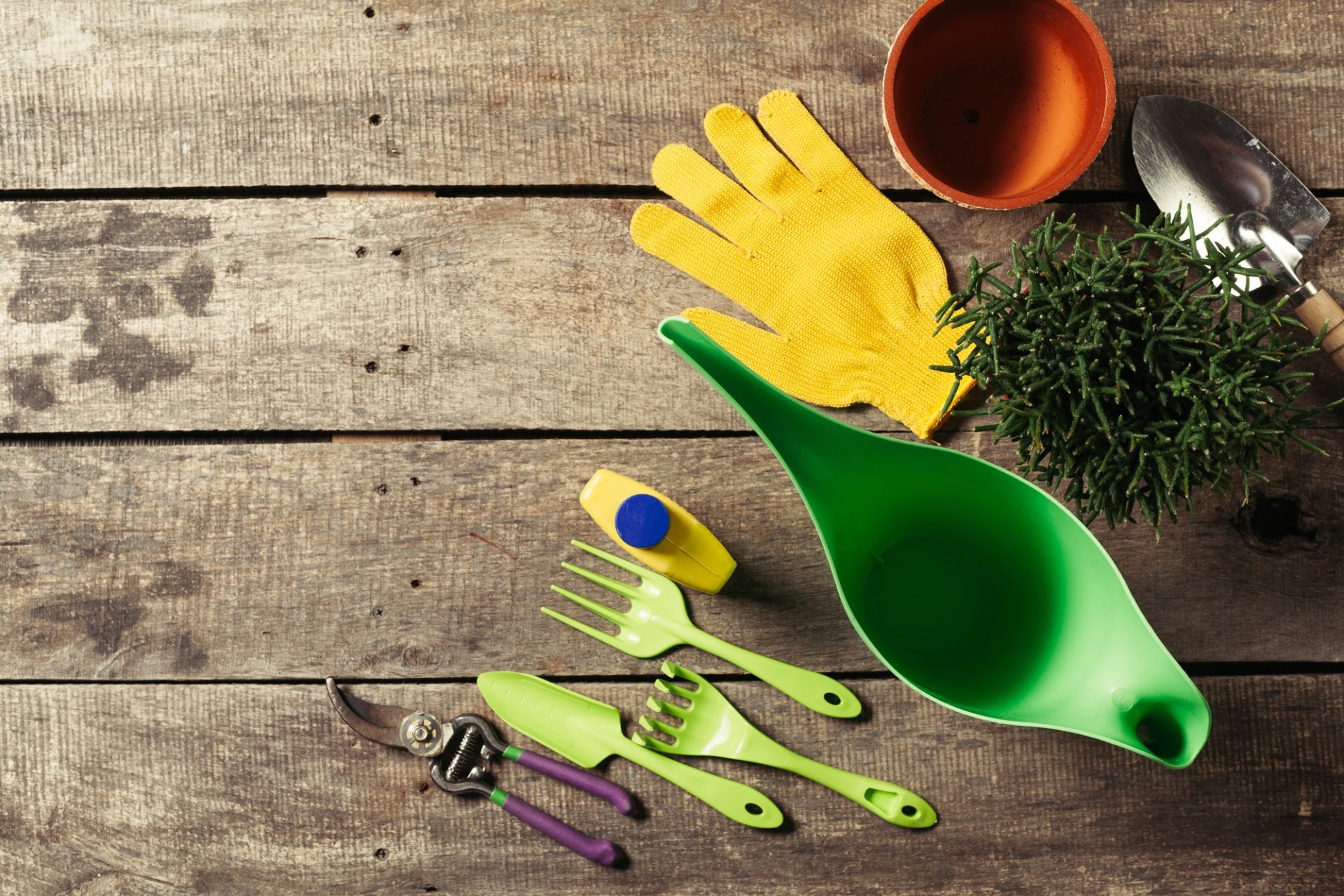 Composition des outils de jardin