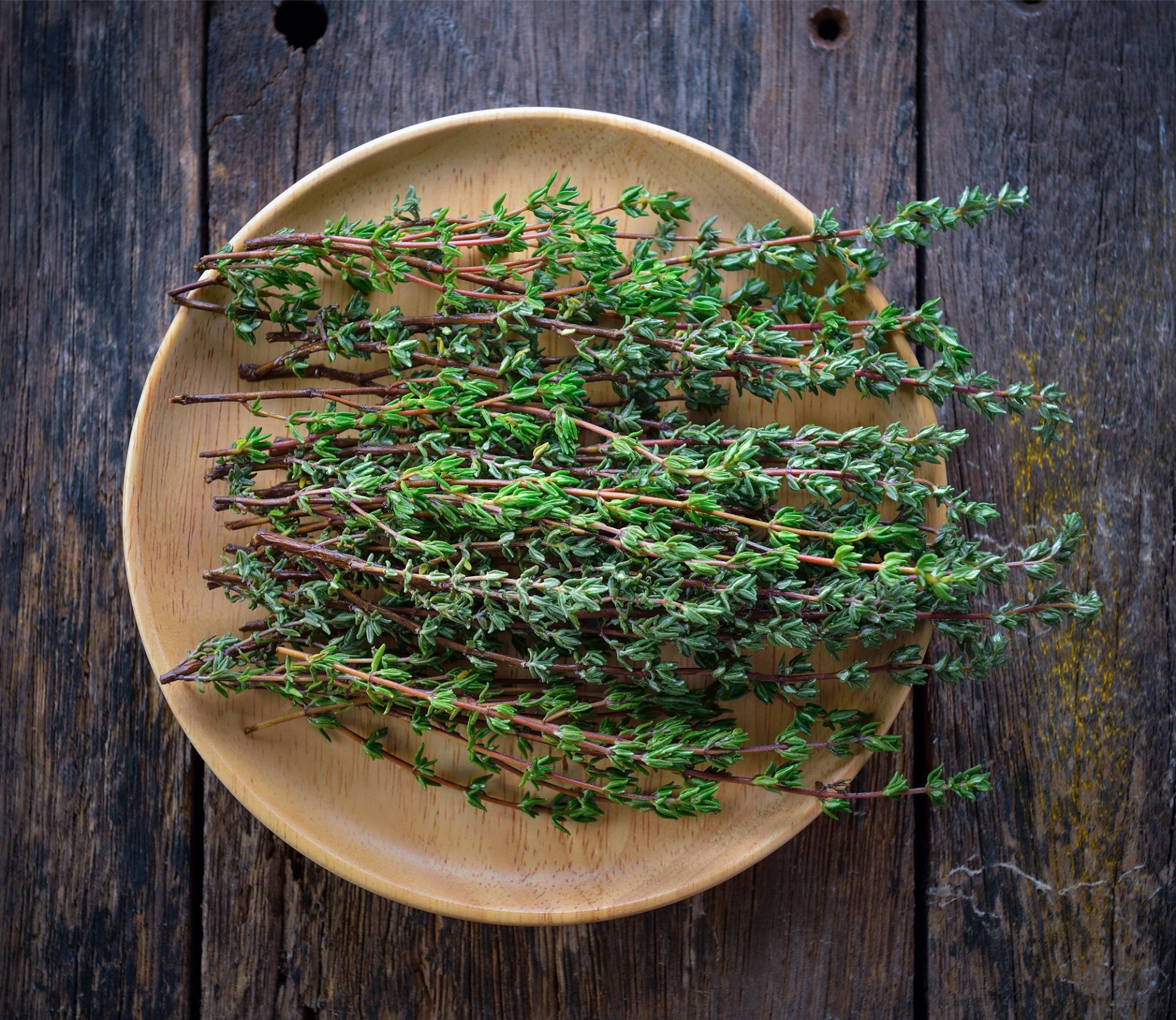 Herbe de thym dans la plaque de bois sur une table en bois