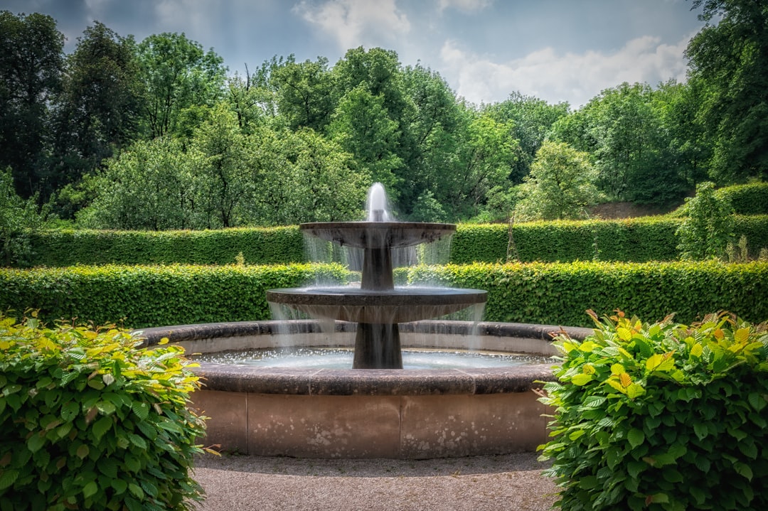 une fontaine d'eau entourée de haies et d'arbres