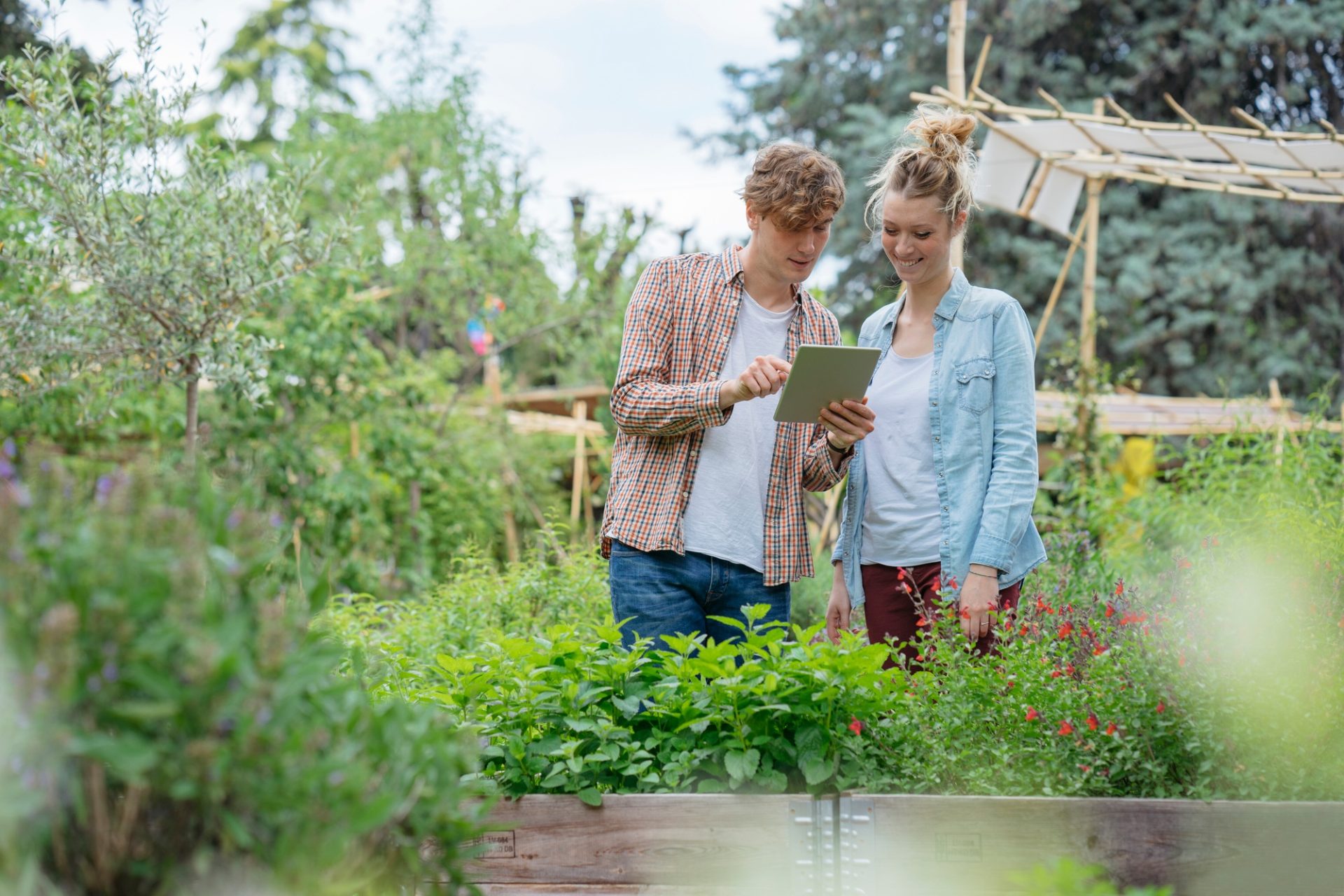 Jeune homme et femme dans le jardin urbain, photographier des plantes à l'aide de tablette numérique