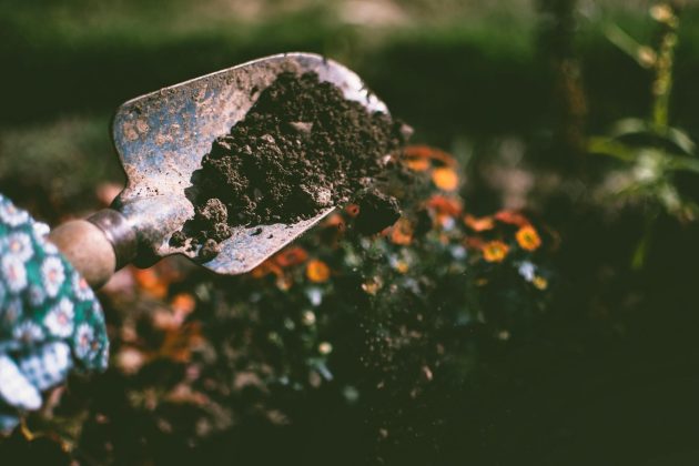 Gros plan d'une pelle de jardinage de terre, entourée de fleurs vibrantes dans un jardin extérieur.