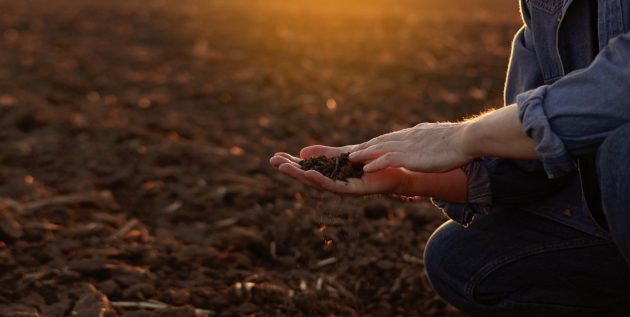 La main de l'agriculteur masculin détient une poignée de sol sec et vérifie la fertilité et la qualité du sol avant de semer les cultures sur le champ labouré au coucher du soleil.