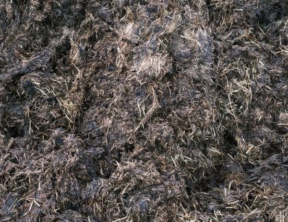 Résumé Texture de fond du mucile agricole