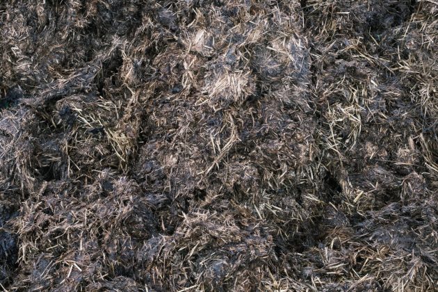 Résumé Texture de fond du mucile agricole