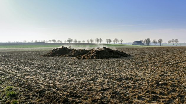 La vapeur s'élève d'un tas de fumier sur un champ labouré sous un ciel bleu clair.