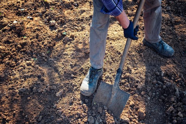 L'homme creusant la terre avec une bêche dans une vue à angle bas de ses jambes dans un concept de jardinage et d'horticulture
