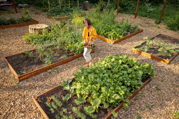 Femme se promène entre les lits de légumes dans le jardin de maison, View frMo ci-dessus.