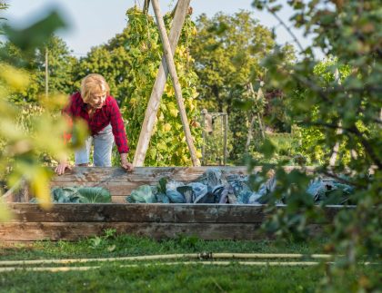 Jardinage des femmes âgées en patch à légumes