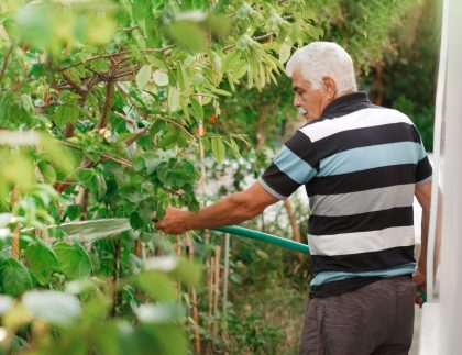 Jardin d'arrosage de l'homme senior