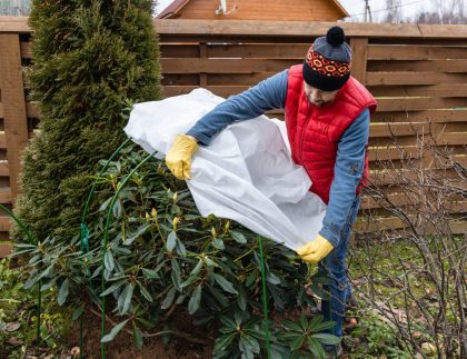Protection hivernale pour le jardin, abri d'hiver pour les plantes de jardin, les rhododendrons du refuge.