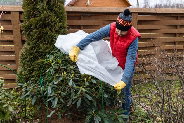 Protection hivernale pour le jardin, abri d'hiver pour les plantes de jardin, les rhododendrons du refuge.