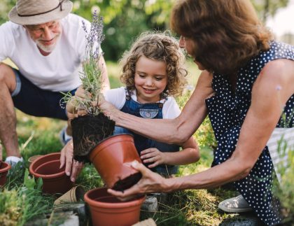 Les grands-parents seniors et le jardinage de la petite-fille dans le jardin d'arrière-cour.
