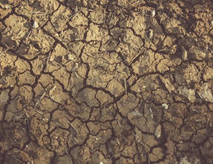 Gros plan du sol fissuré et aride montrant des textures et des modèles détaillés, indiquant des conditions de sécheresse.