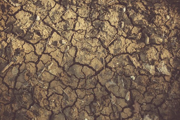 Gros plan du sol fissuré et aride montrant des textures et des modèles détaillés, indiquant des conditions de sécheresse.