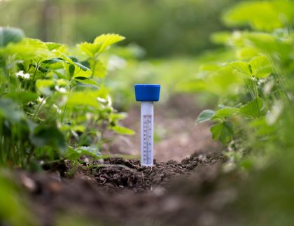 contrôler le processus de croissance des plantes à la ferme, thermomètre au sol