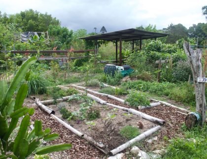 Jardin d'attribution de la permaculture