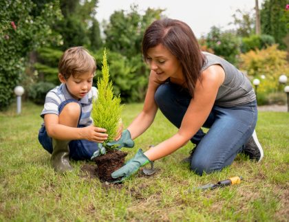 Maman et fils plantant une plante ensemble dans le jardin