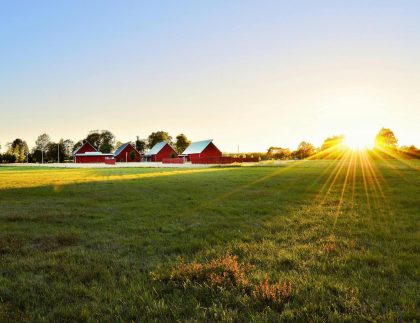 Beau coucher de soleil sur une ferme rurale en Suède avec des granges rouges et des champs luxuriants.
