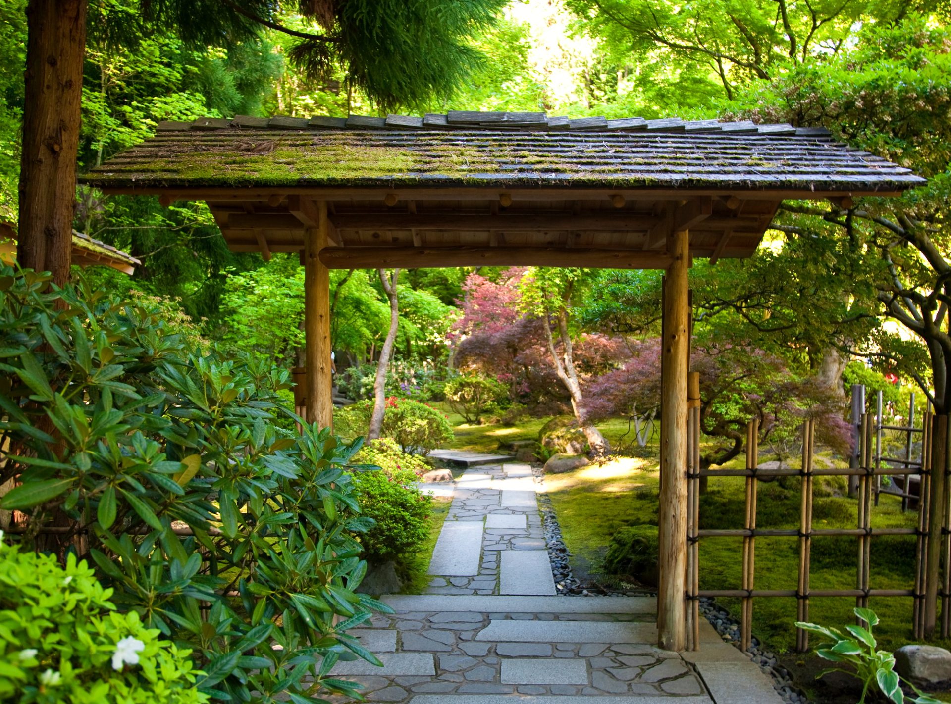 Jardin japonais