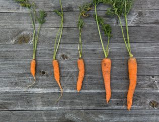 Cinq carottes fraîches avec des feuilles sur une surface en bois rustique, présentées en vue de dessus.